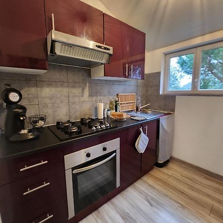 La Rose Des Vents Villa Saix  Екстериор снимка